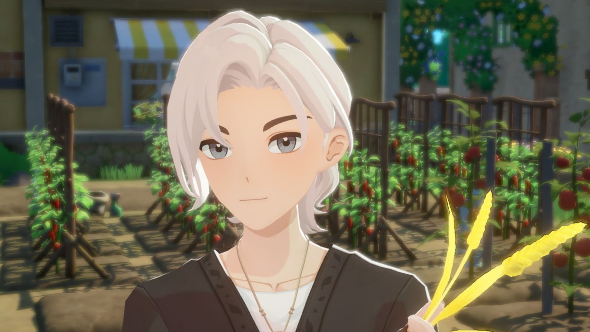 Starsand Island may be the cutest farm sim ever, but needs a little cultivation